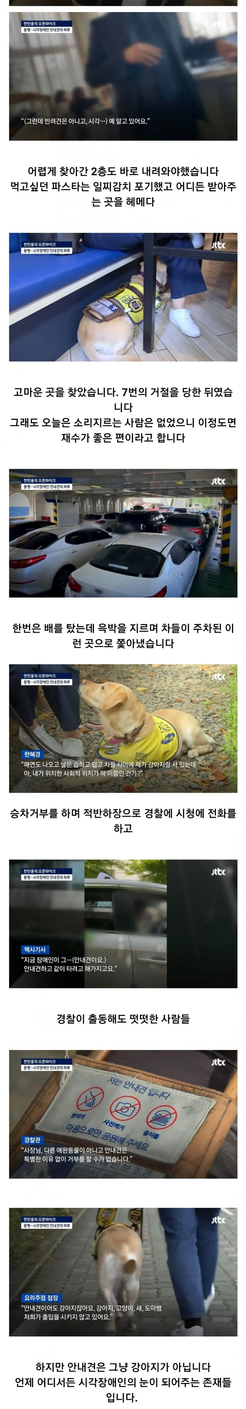 유유베 자유게시판 밥 먹으려다 7번 거절당하는 안내견의 하루